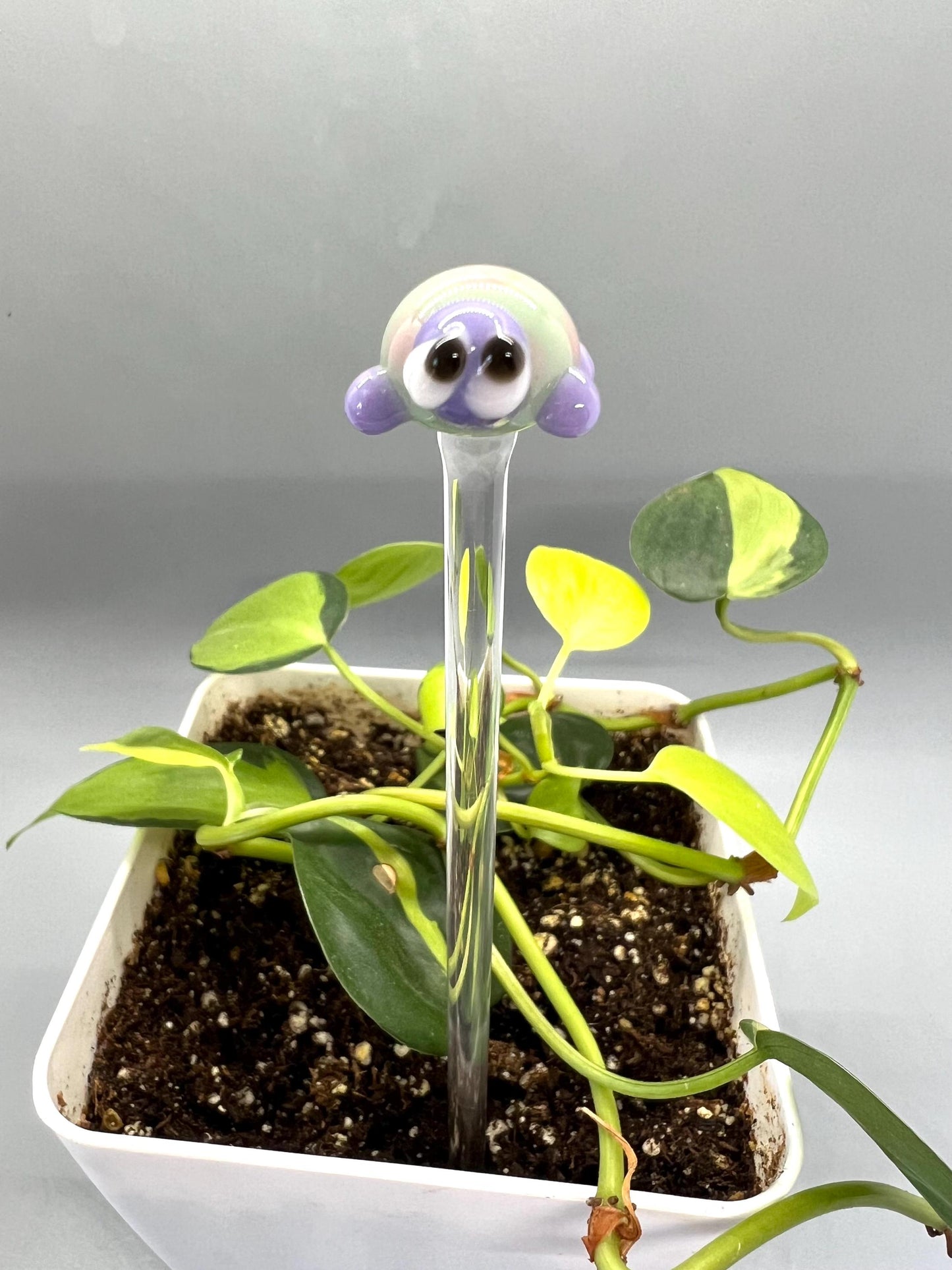 Turtle Glass Plant Stake- Lavender, Mint and Pink Turtle