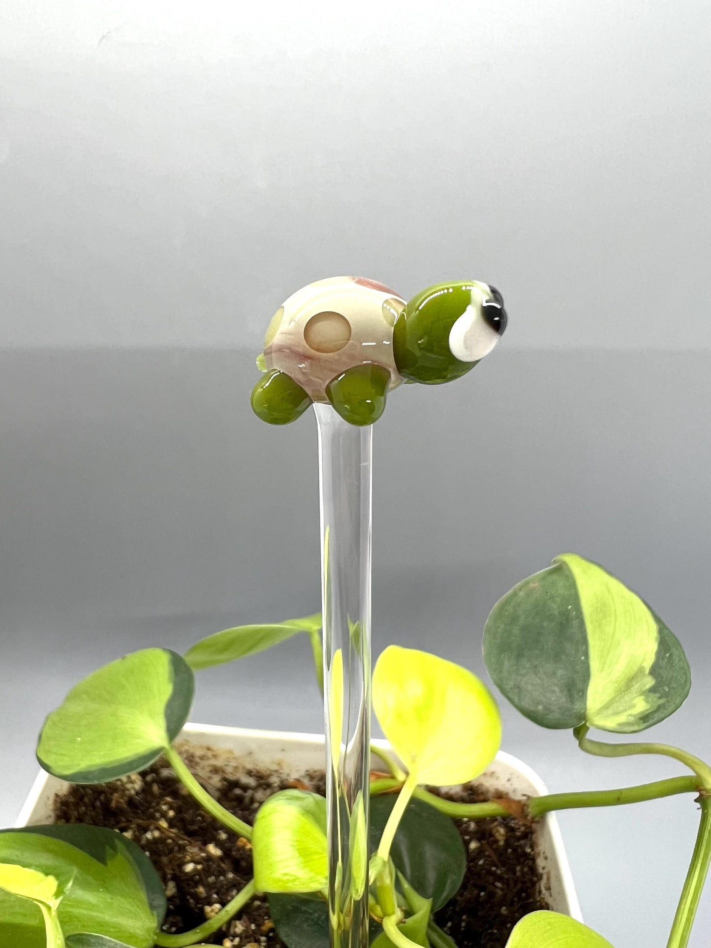 Green and Caramel Spotted Turtle Plant Stake