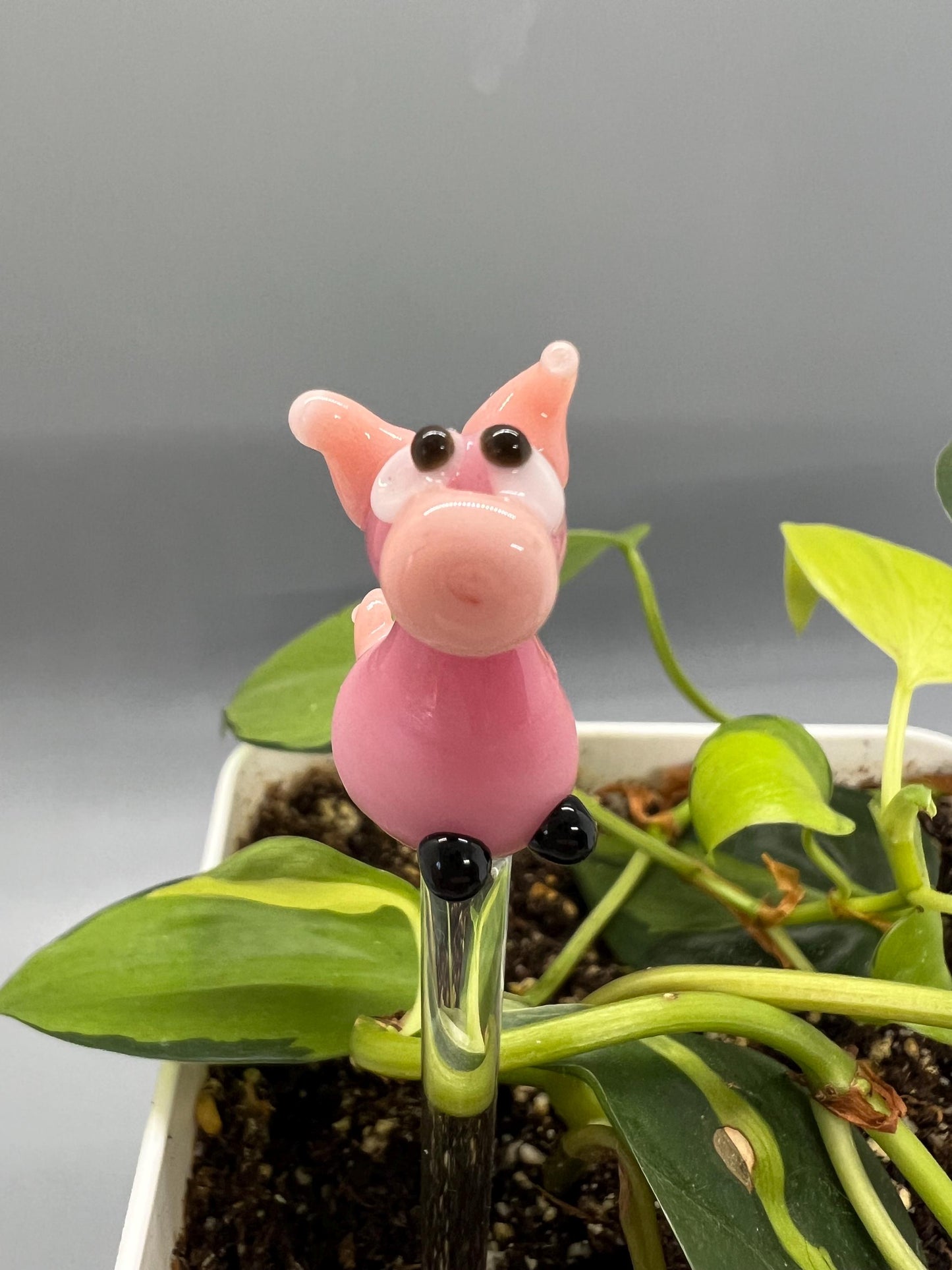 Pink Pig Glass Plant Stake