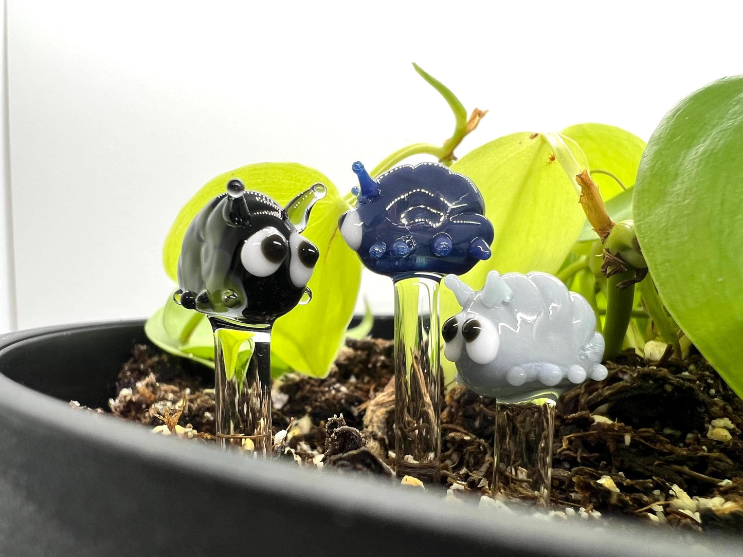 Roly Poly Glass Plant Stake