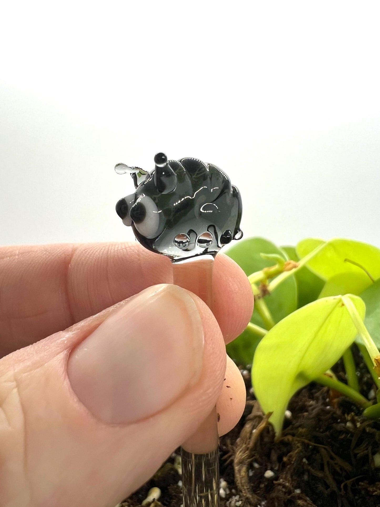 Roly Poly Glass Plant Stake