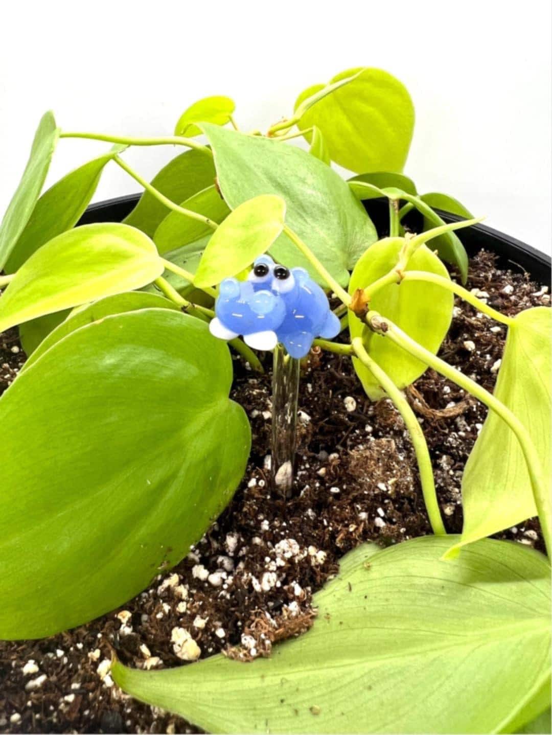 Blue Hippo Plant Stake
