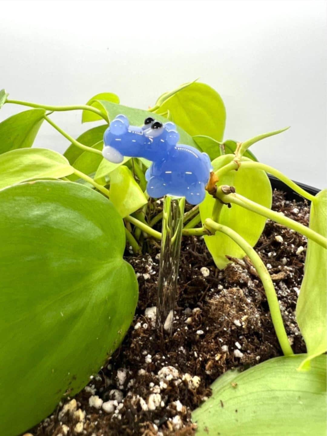Blue Hippo Plant Stake