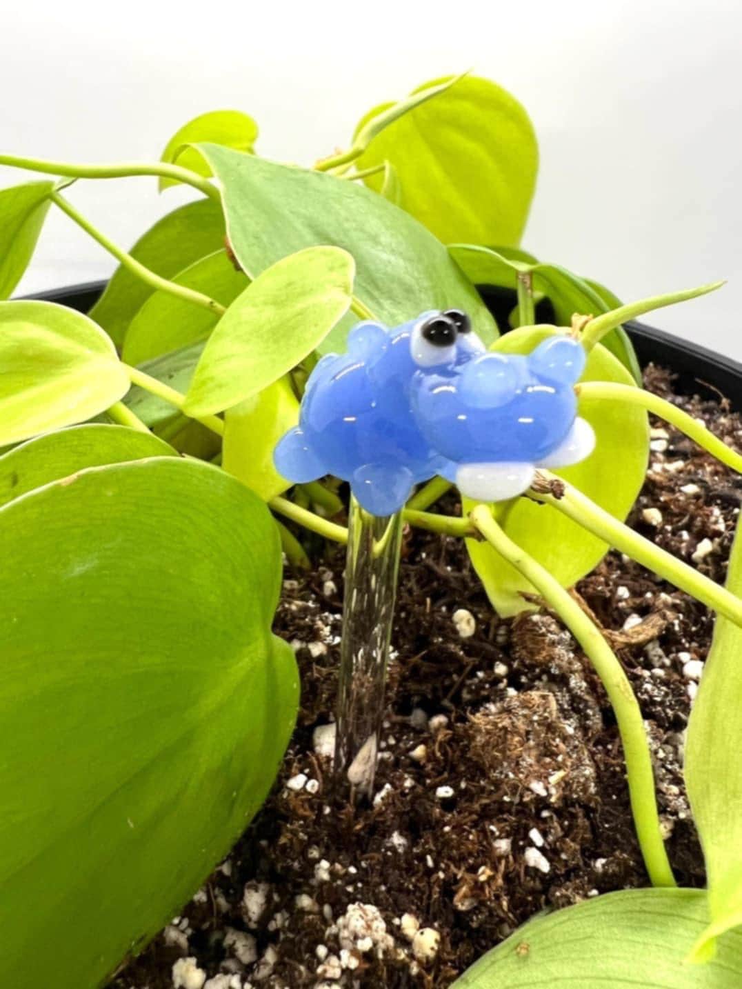 Blue Hippo Plant Stake
