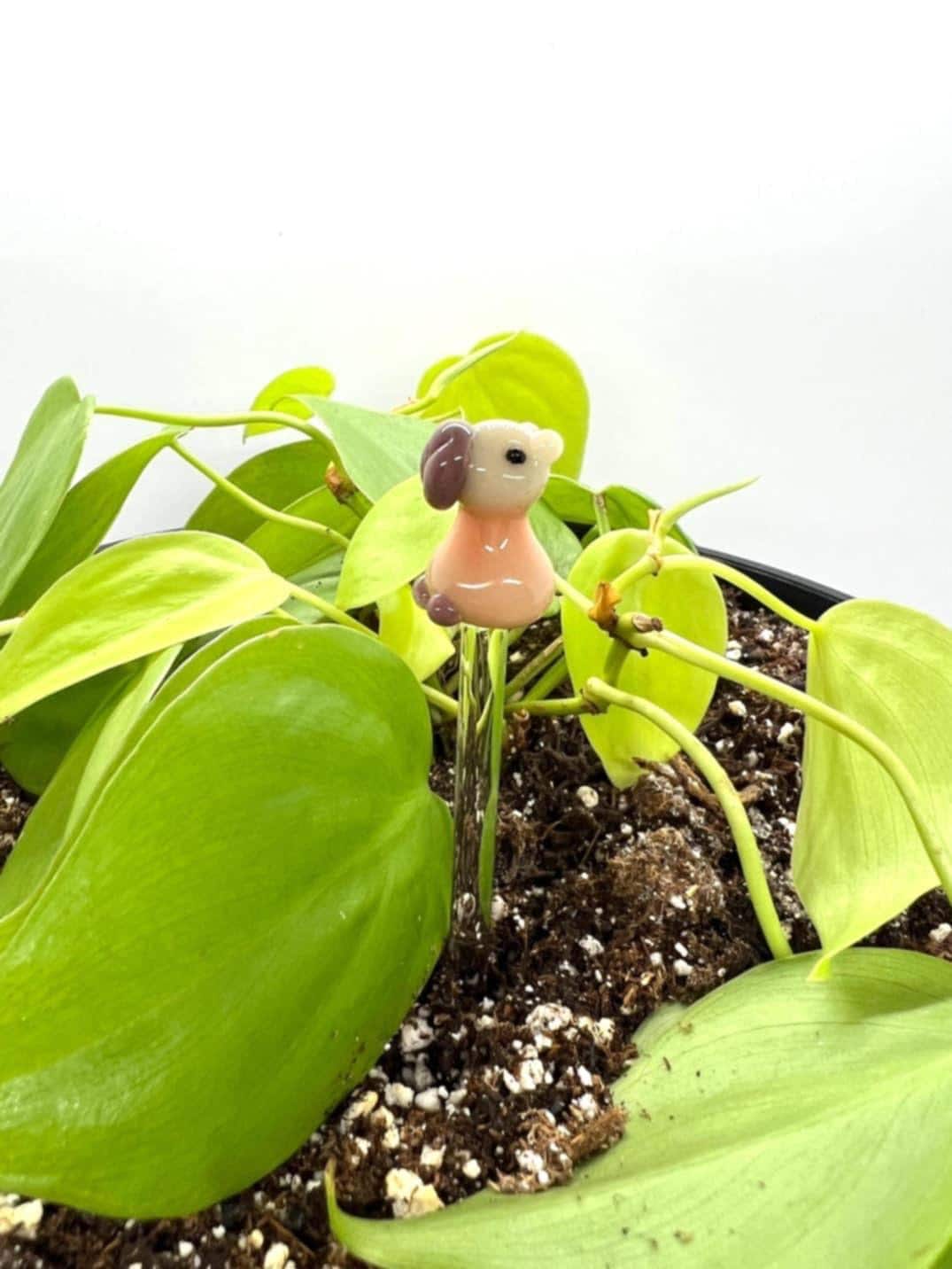 Capybara Plant Stake