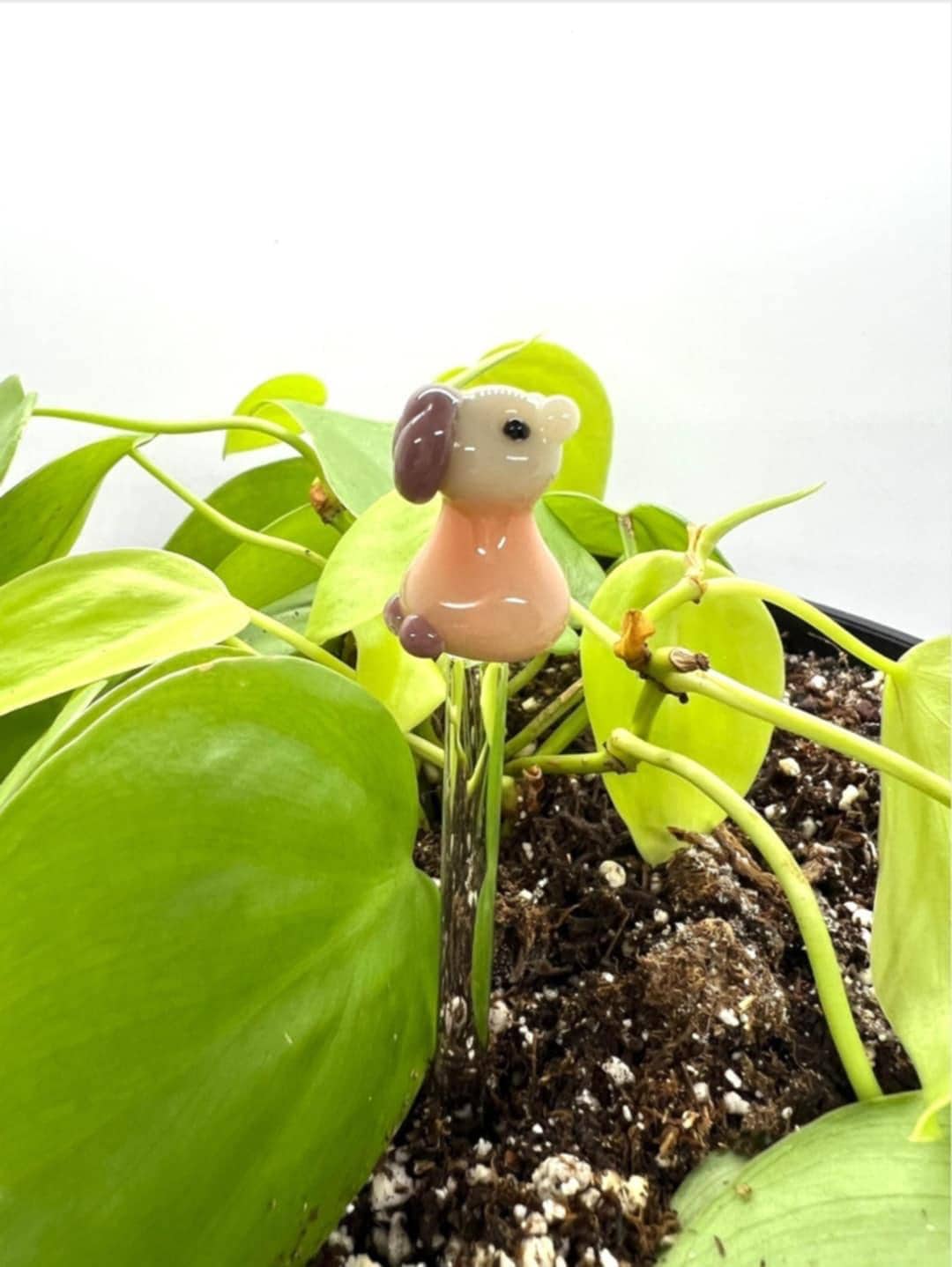 Capybara Plant Stake