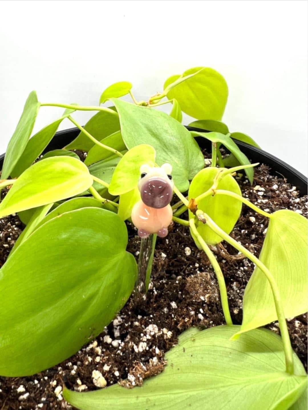 Capybara Plant Stake
