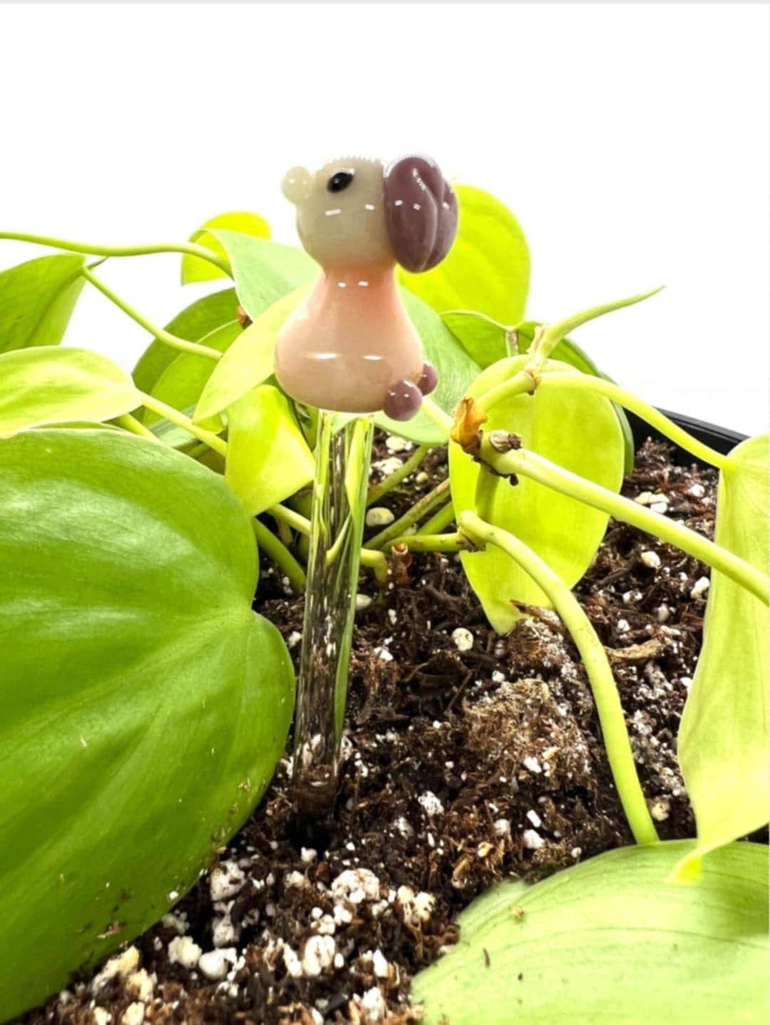 Capybara Plant Stake