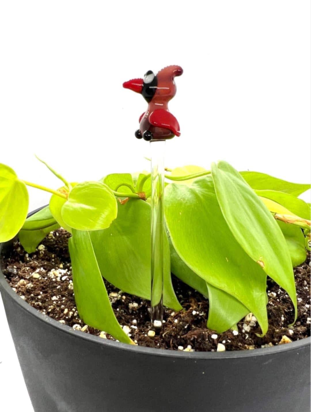 Cardinal Bird Plant Stake
