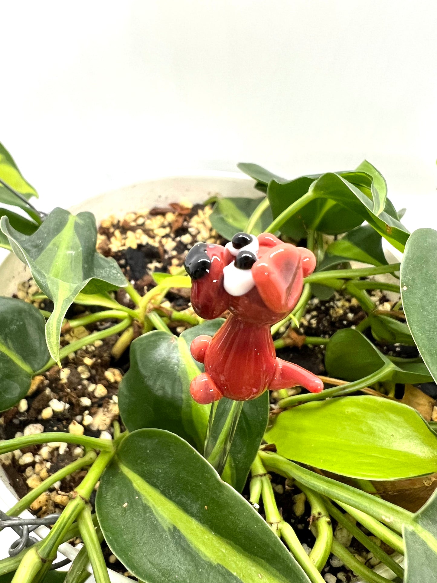Red Dog Glass Plant Stake
