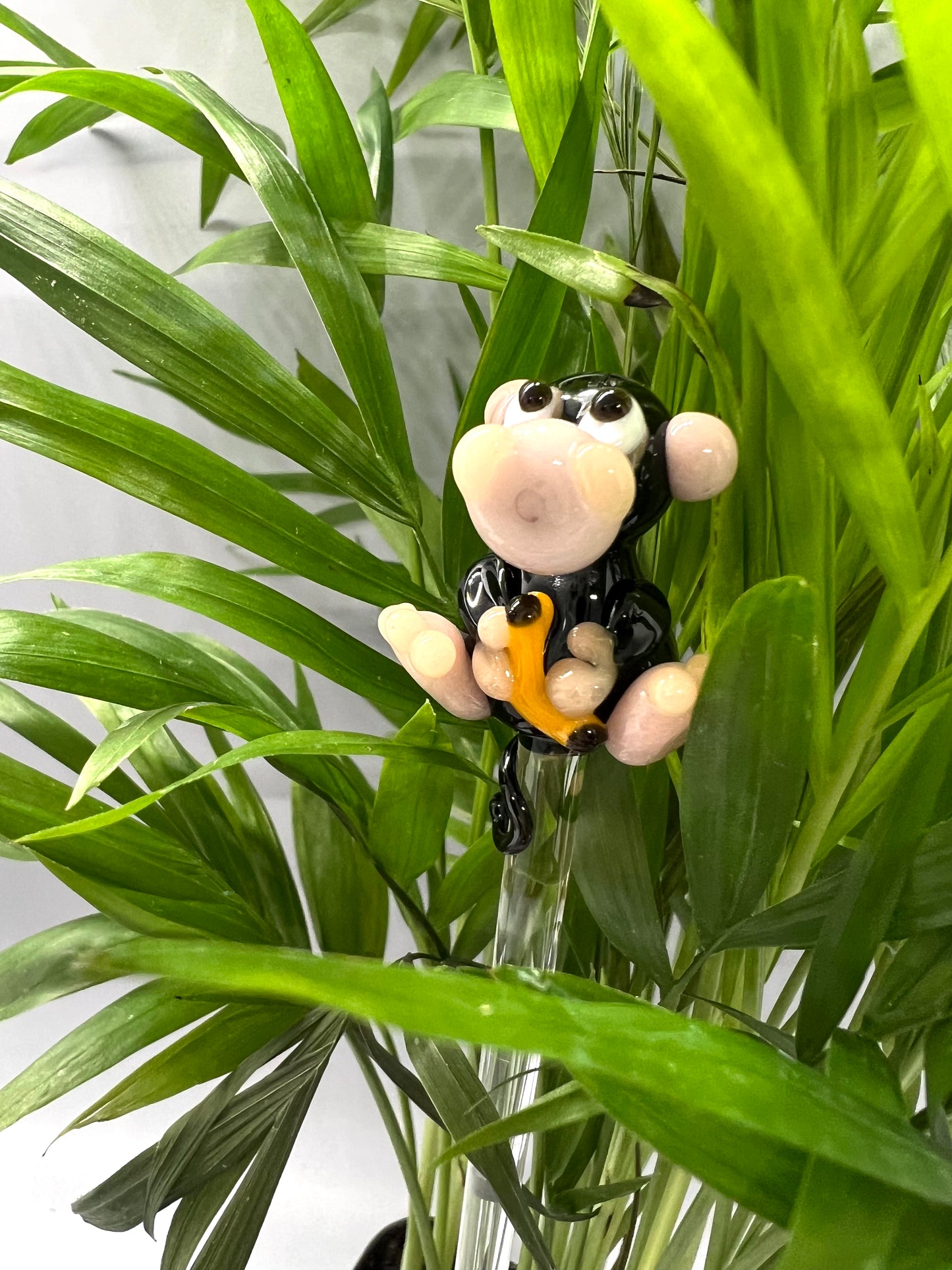Monkey Glass Plant Stake
