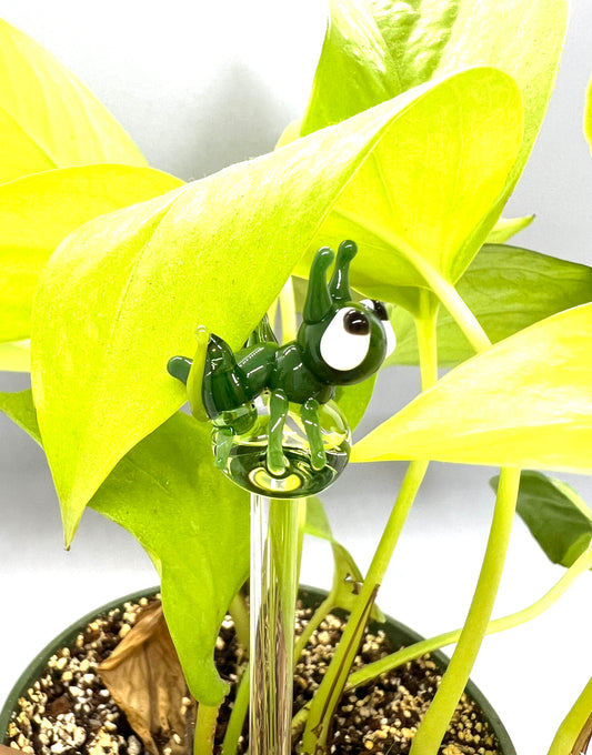 Green Grasshopper Plant Stake