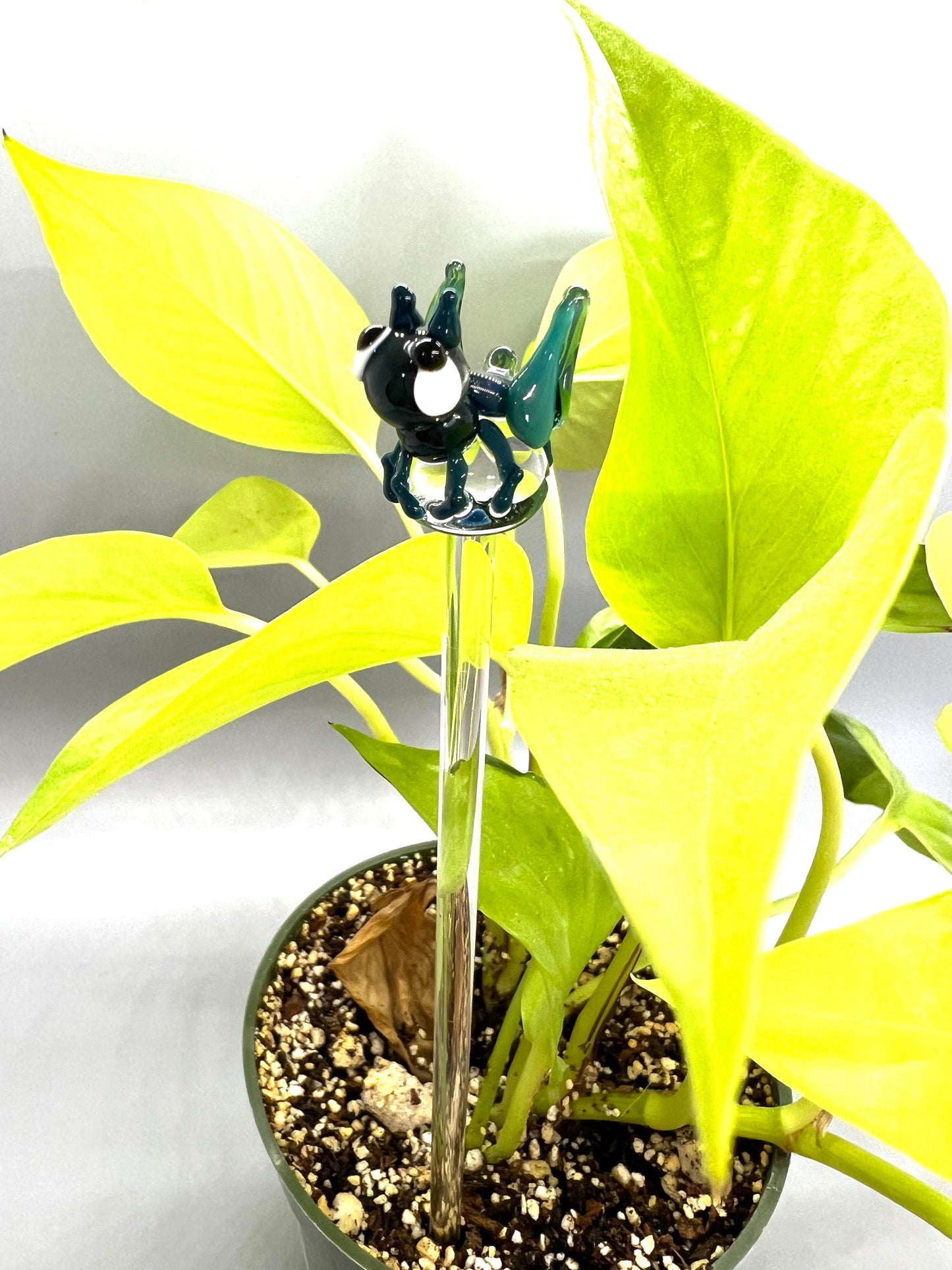 Teal Grasshopper Plant Stake