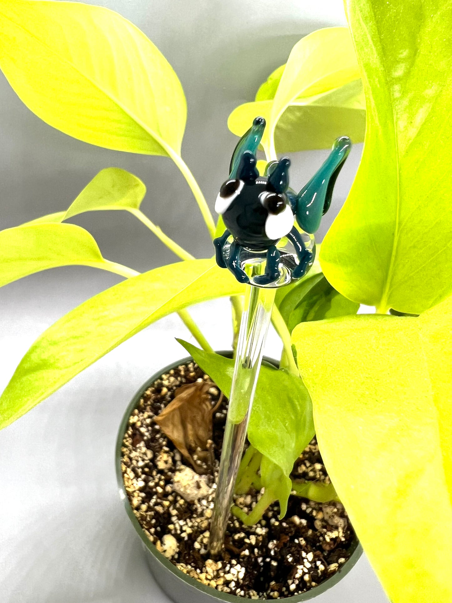 Teal Grasshopper Plant Stake