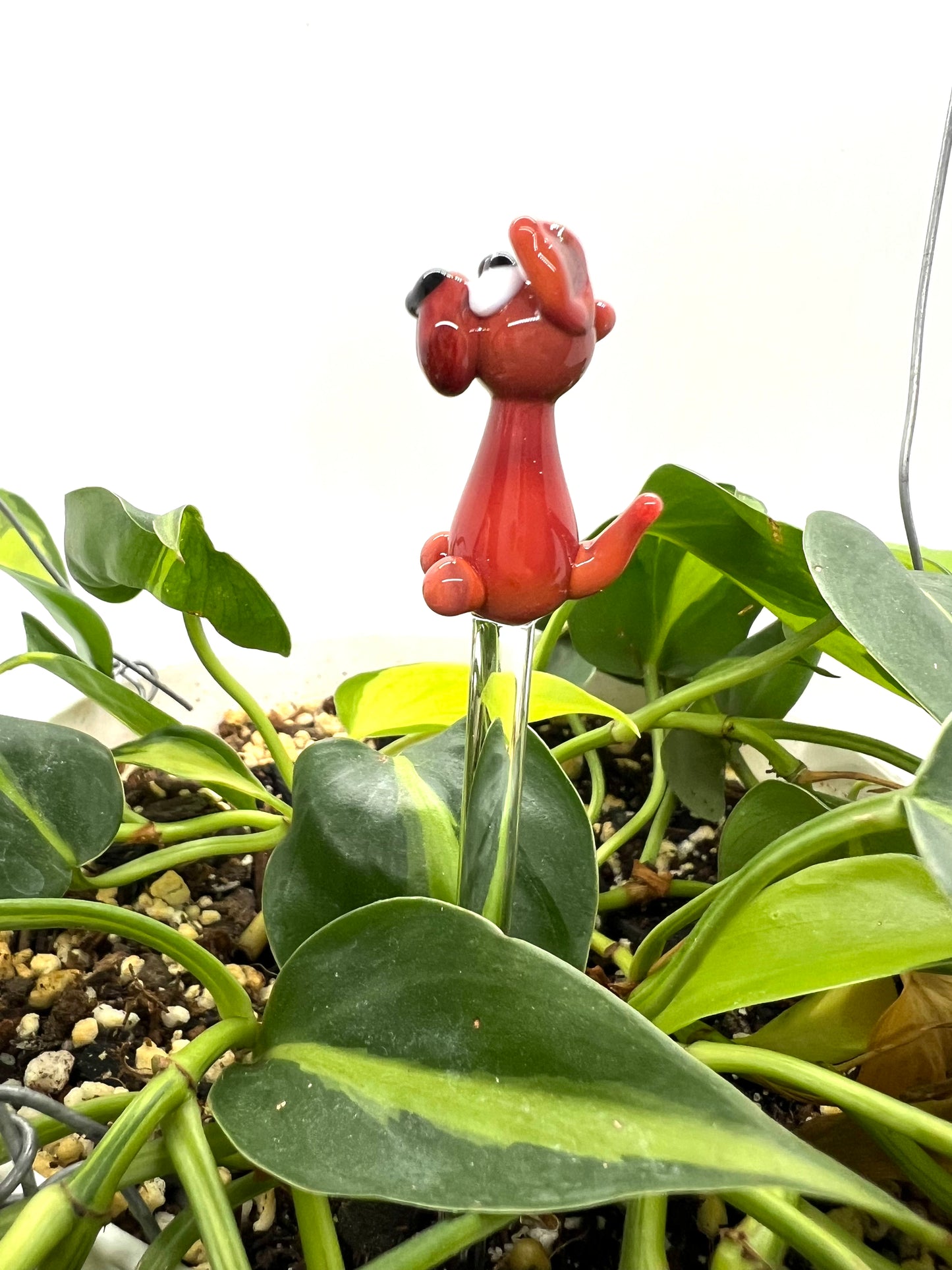 Red Dog Glass Plant Stake