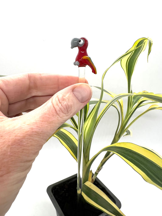 Red Parrot Glass Plant Stake