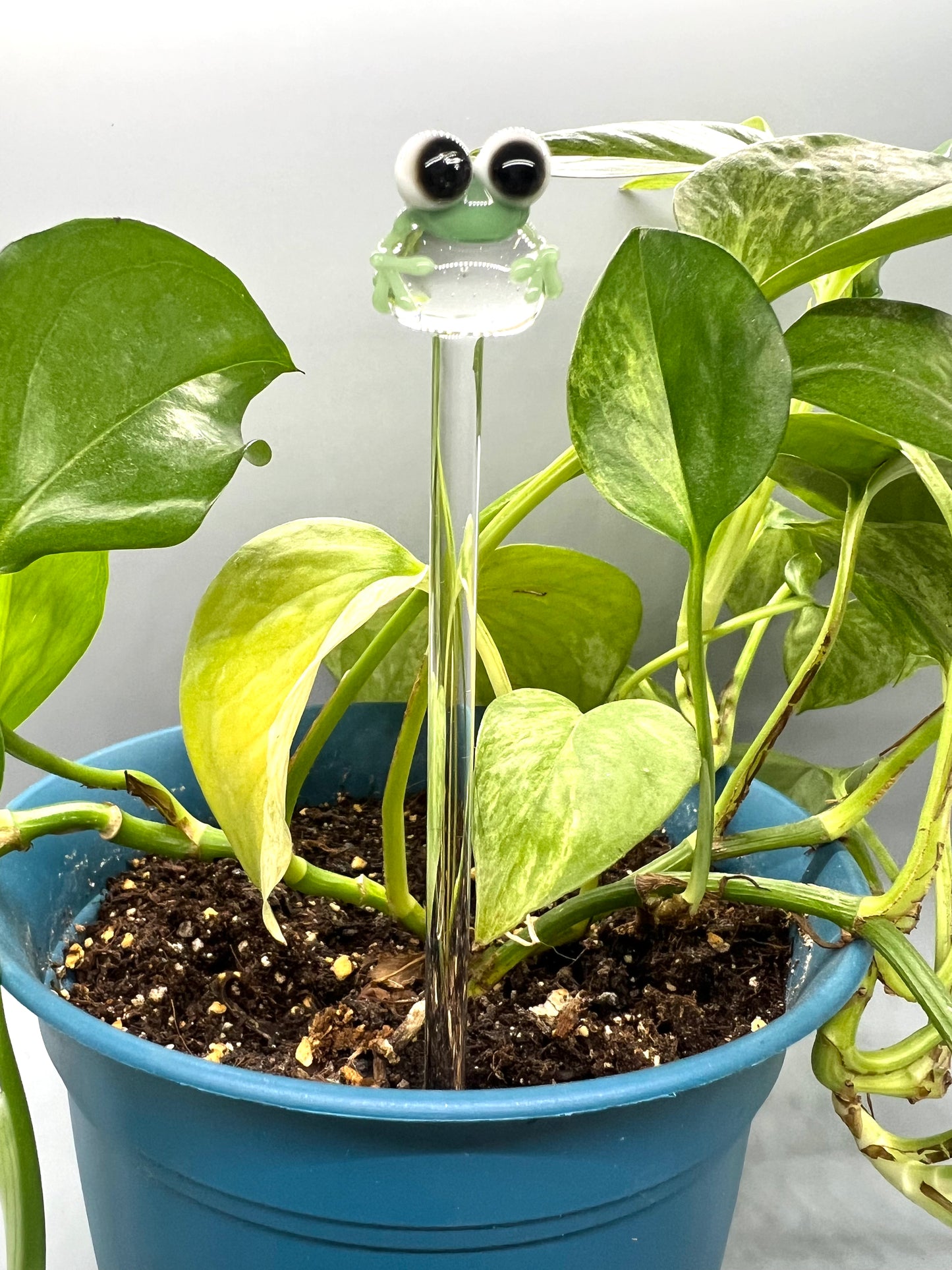 Sage Green Frog Glass Plant Stake