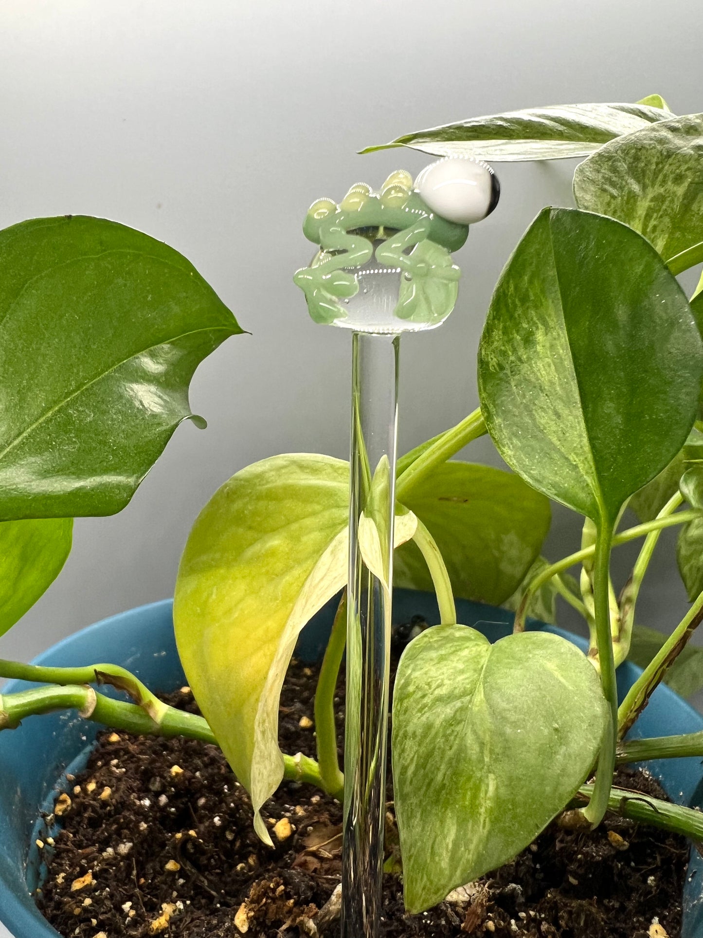 Sage Green Frog Glass Plant Stake