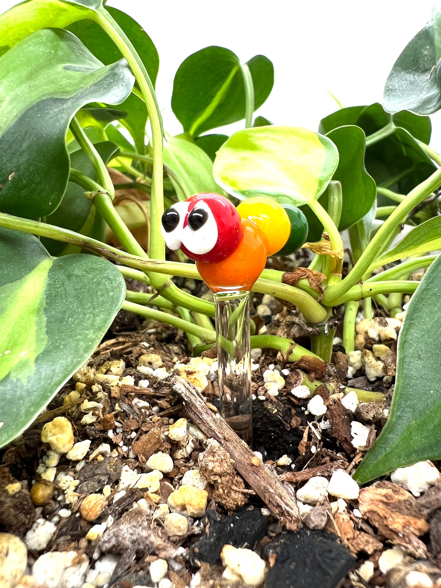 Rainbow Caterpillar Plant Stake