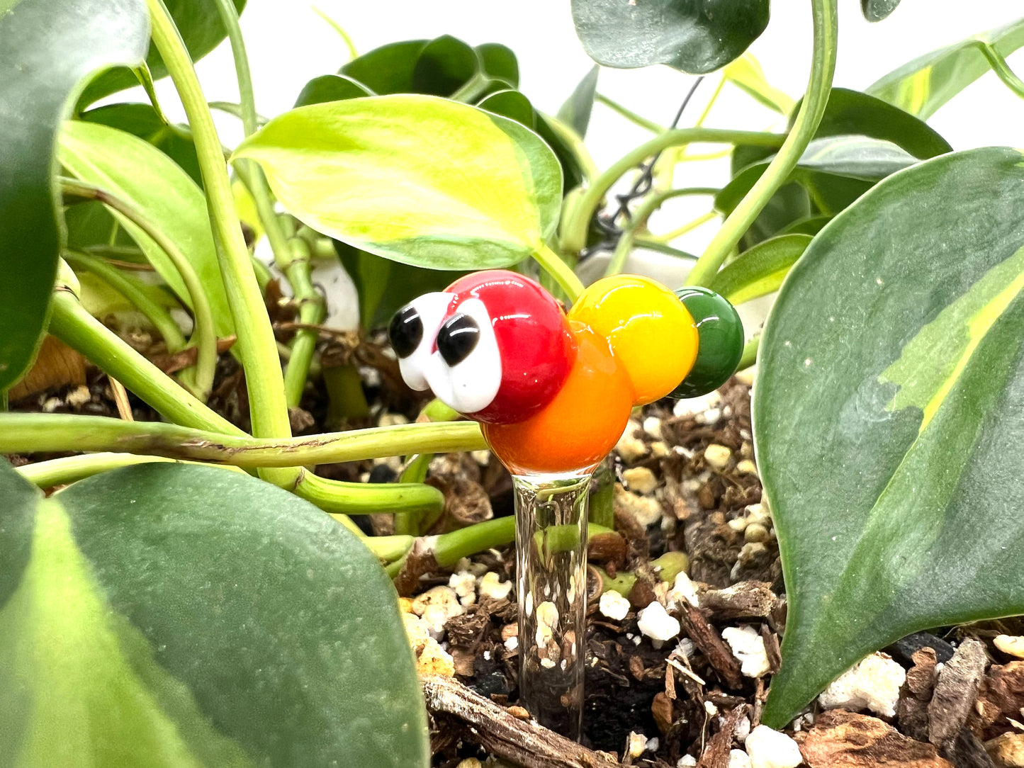 Rainbow Caterpillar Plant Stake