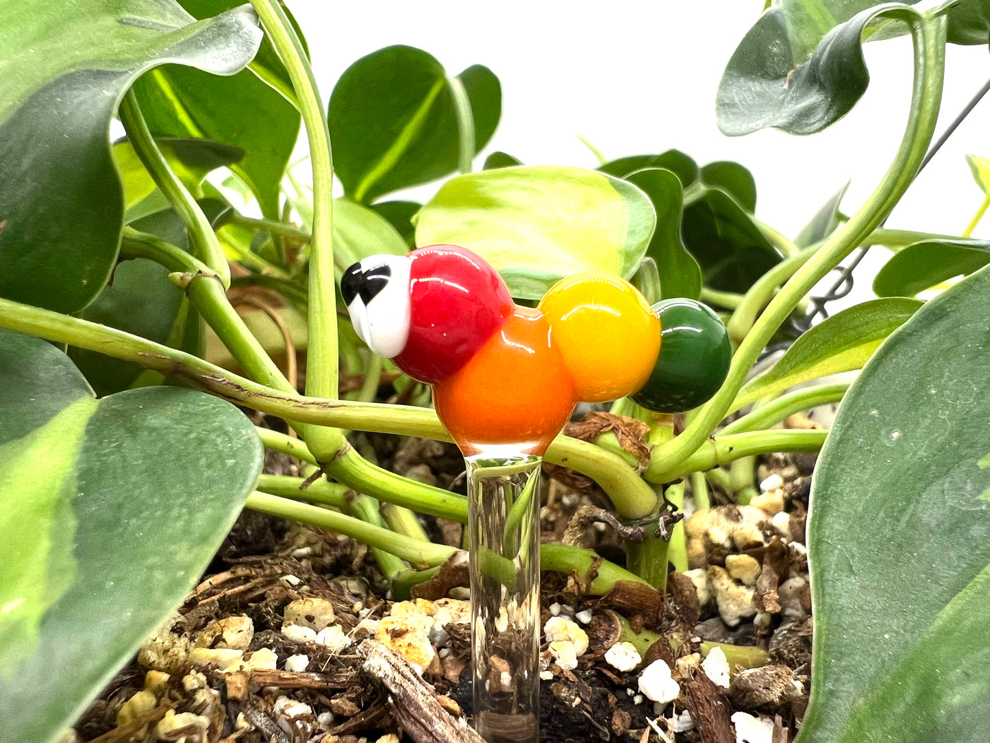 Rainbow Caterpillar Plant Stake