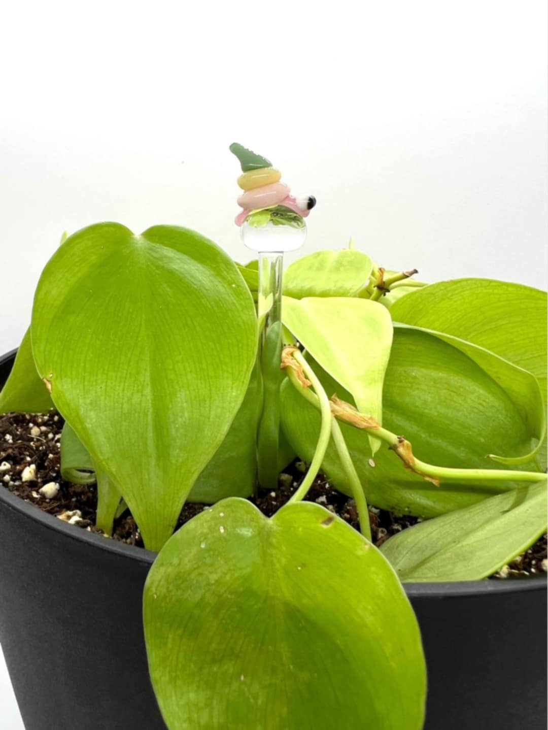 Pastel Snail Plant Stake
