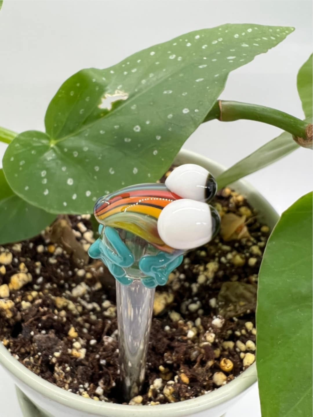 Rainbow Frog Glass Plant Stake