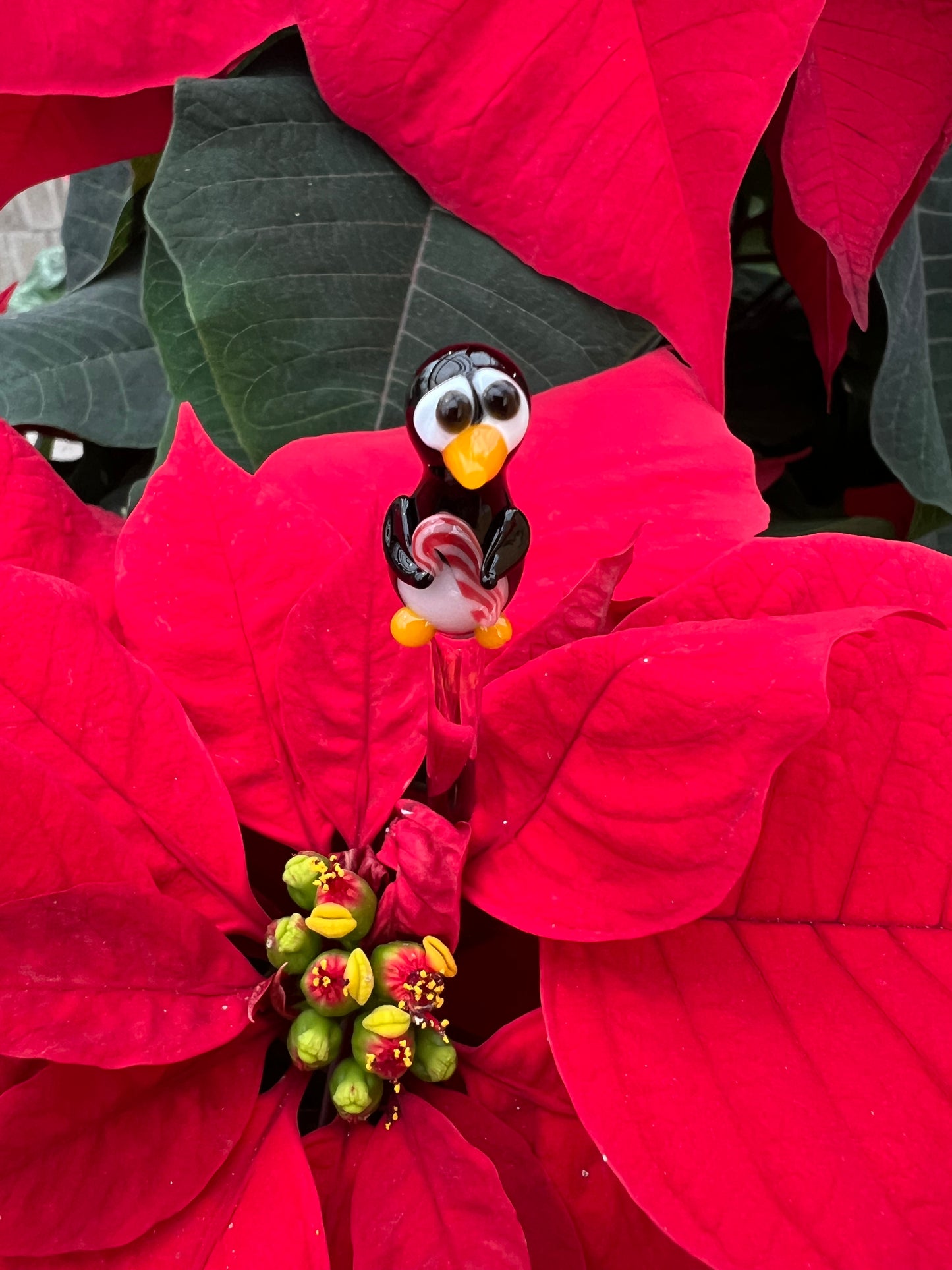 Penguin with a Candy Cane Plant Stake