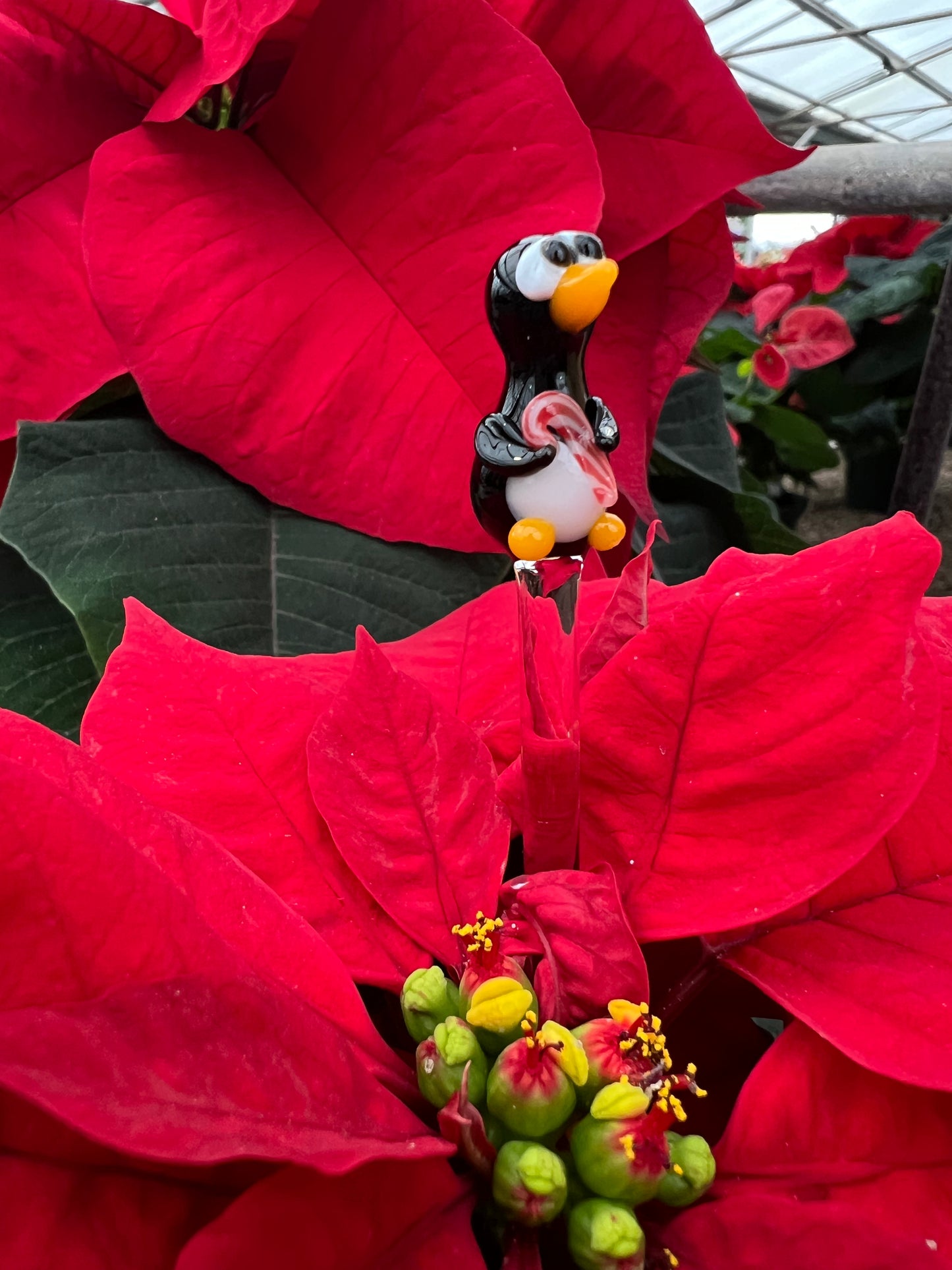 Penguin with a Candy Cane Plant Stake
