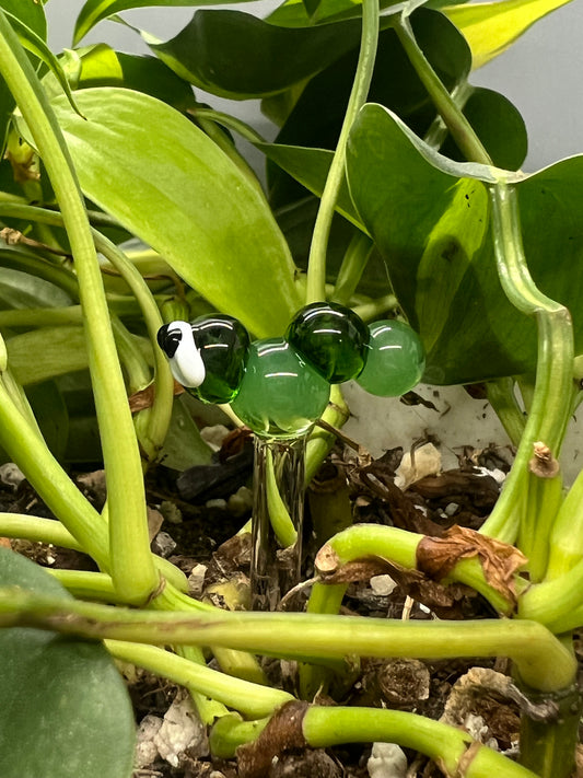 Two Tone Green Caterpillar Plant Stake