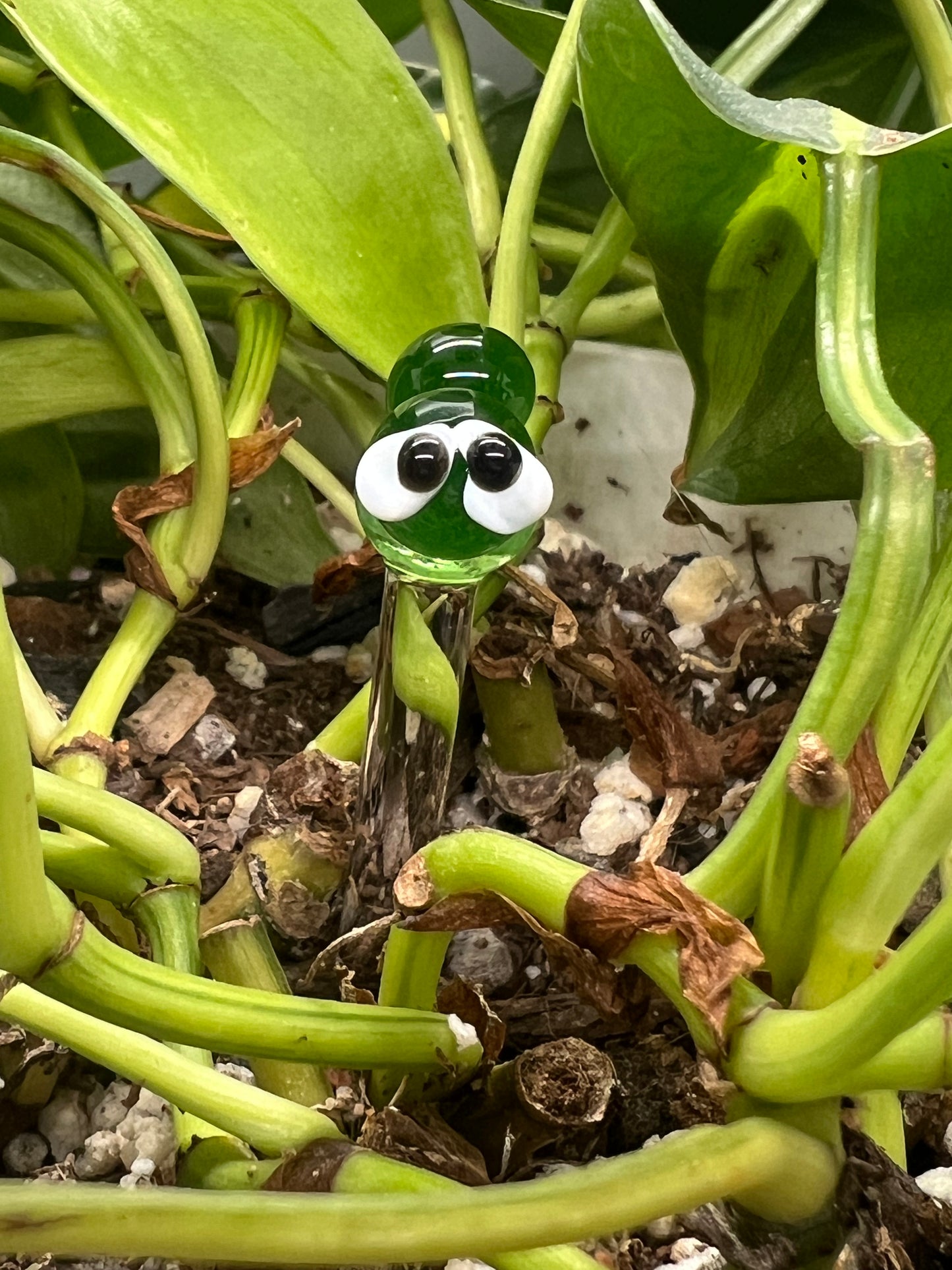 Two Tone Green Caterpillar Plant Stake