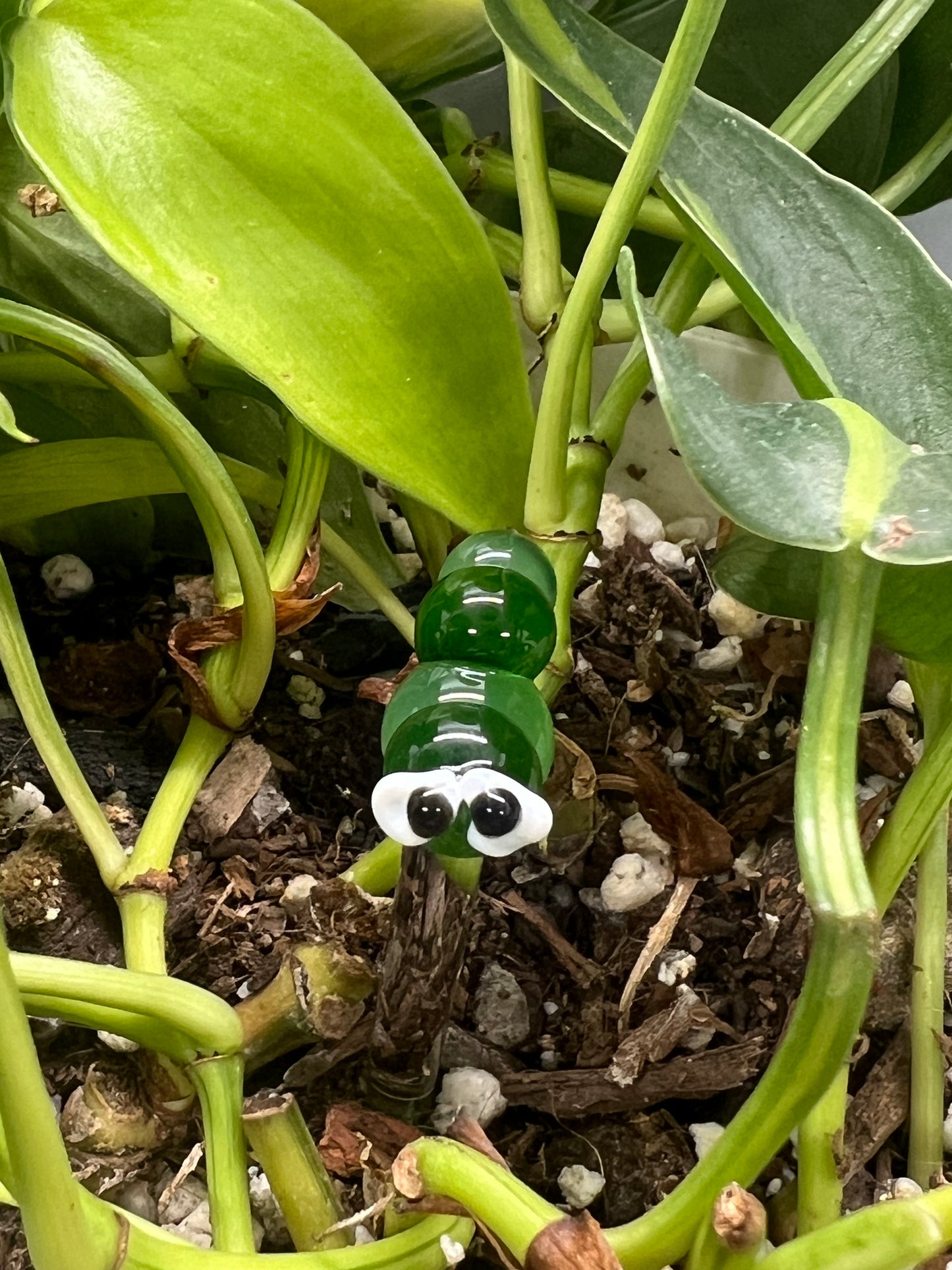 Two Tone Green Caterpillar Plant Stake