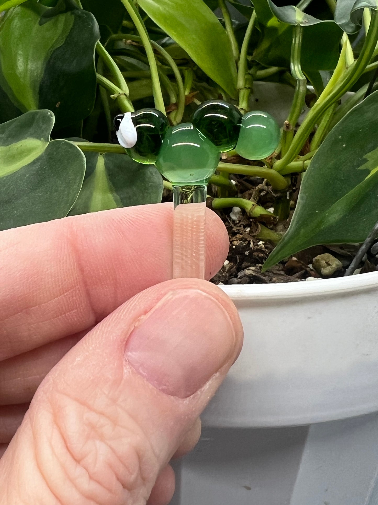 Two Tone Green Caterpillar Plant Stake