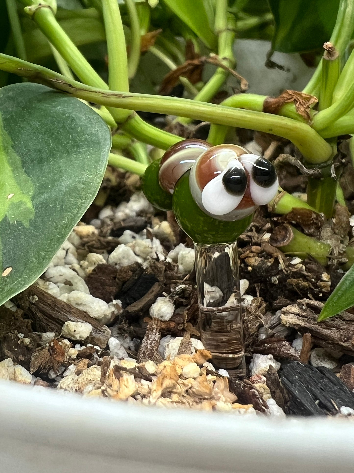 Caramel and Green Caterpillar Plant Stake