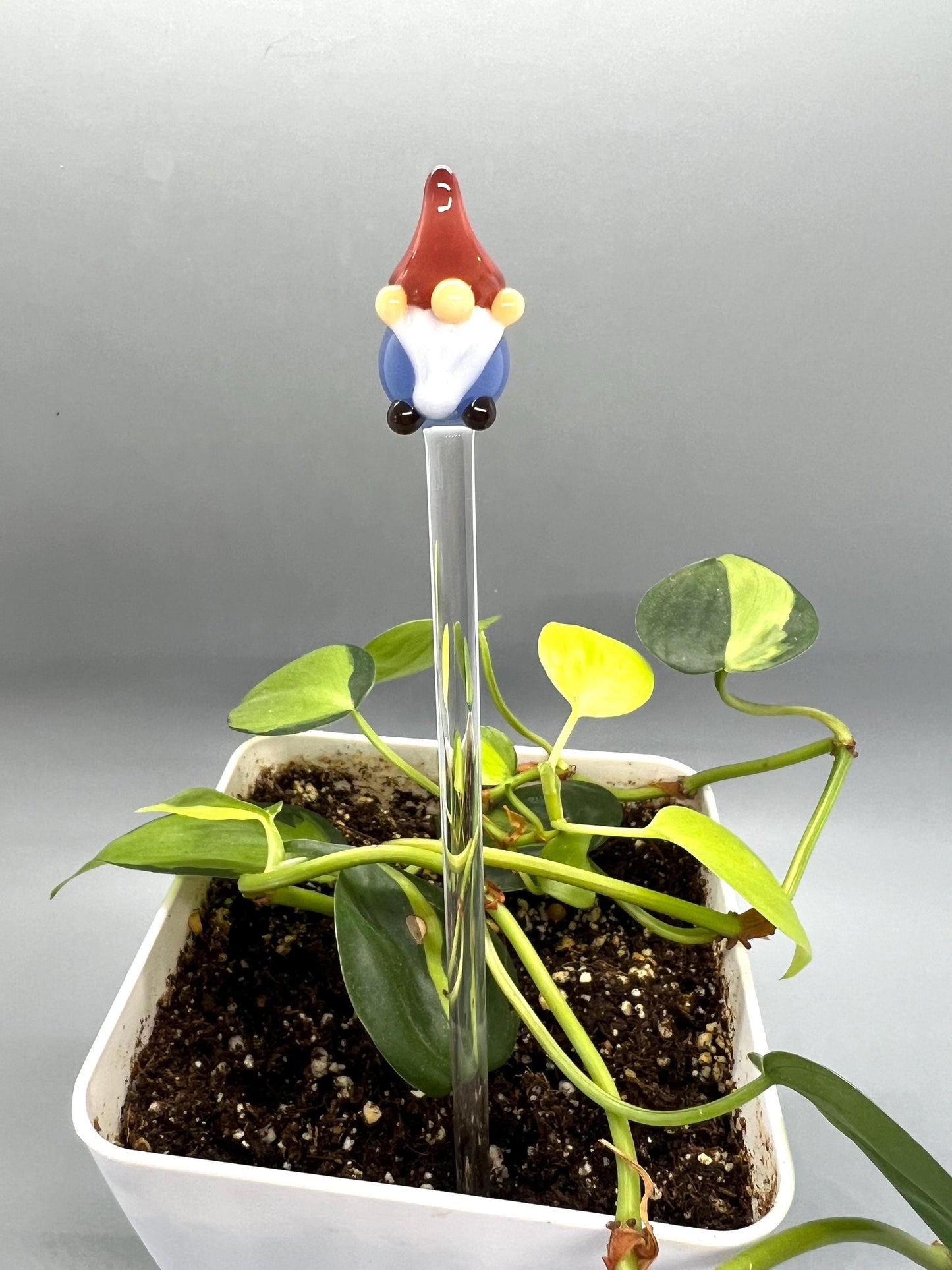 Blue Gnome Glass Plant Stake
