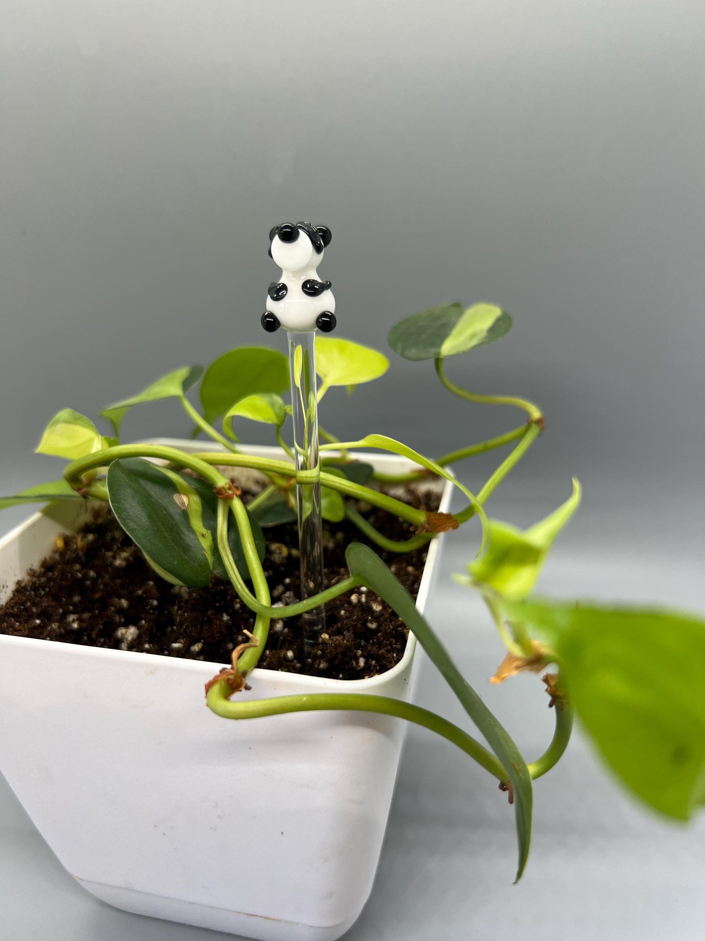 Panda Bear Glass Plant Stake
