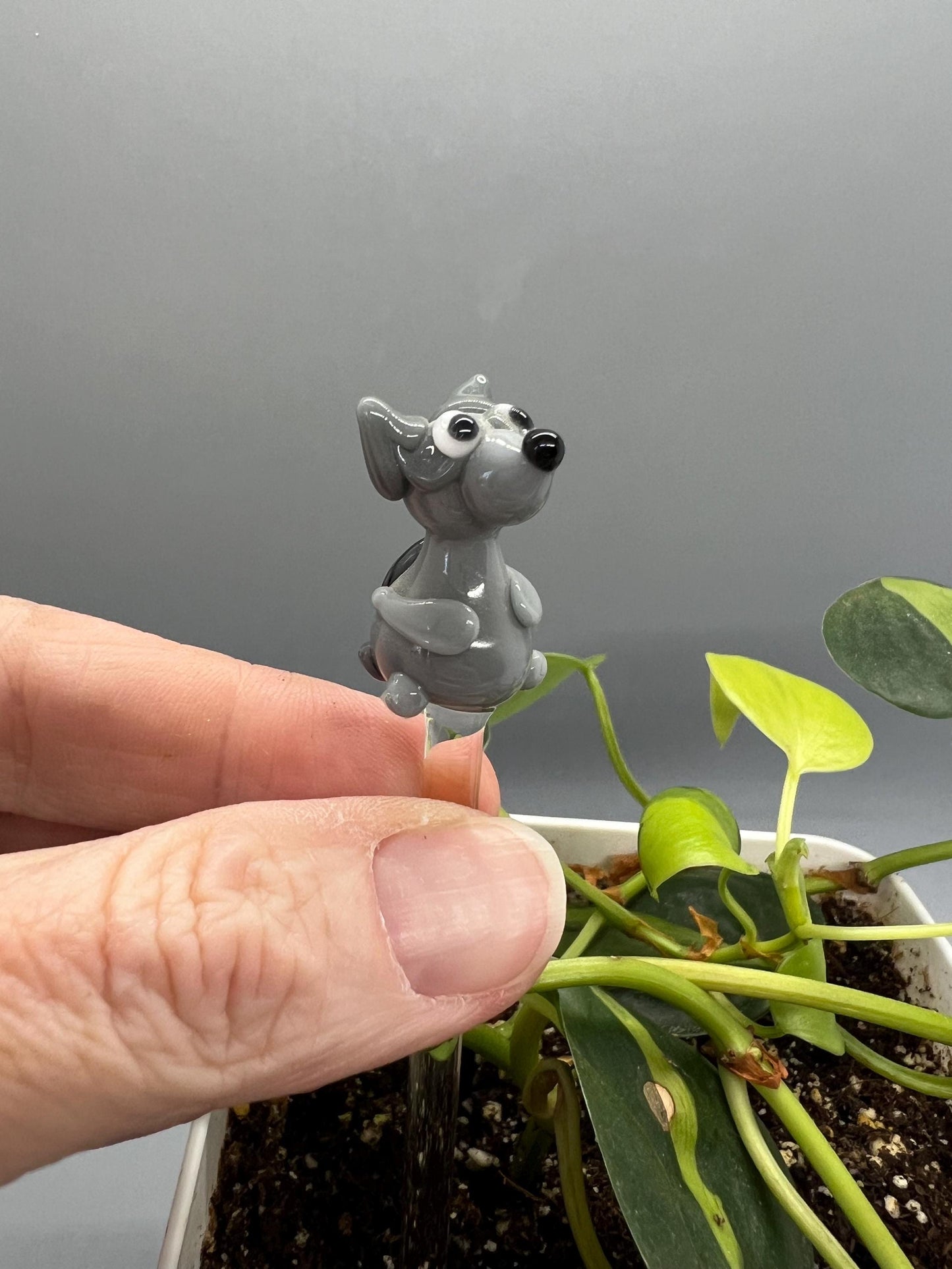 Raccoon Glass Plant Stake