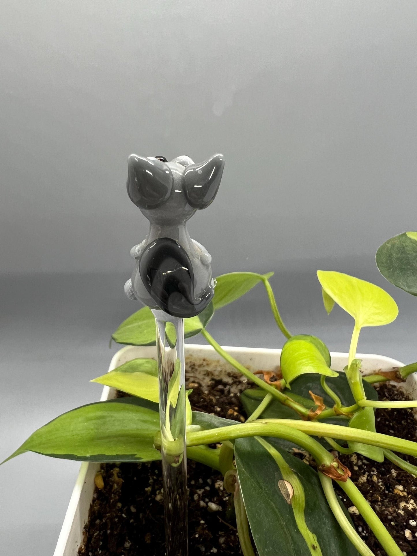 Raccoon Glass Plant Stake