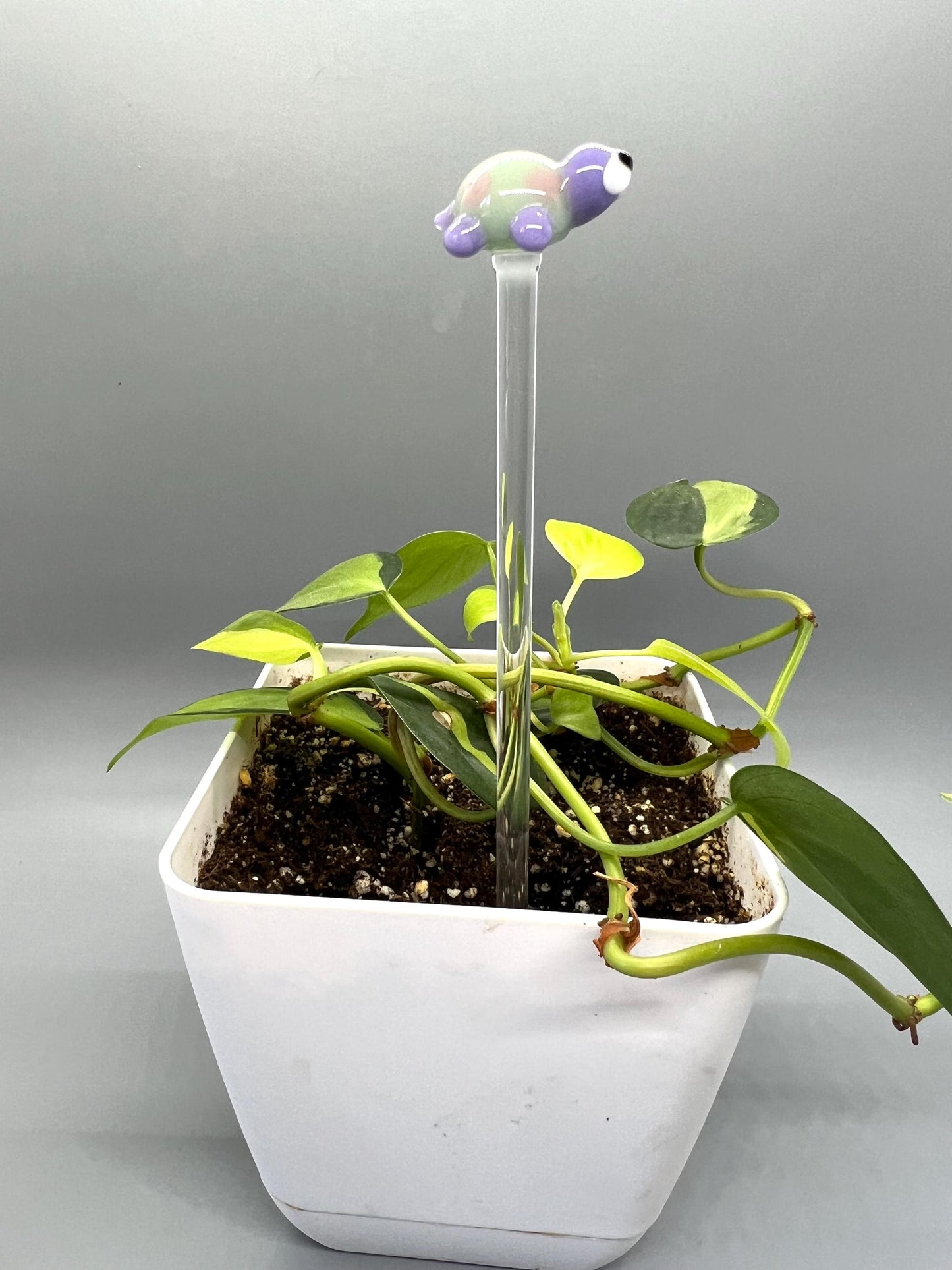 Turtle Glass Plant Stake- Lavender, Mint and Pink Turtle