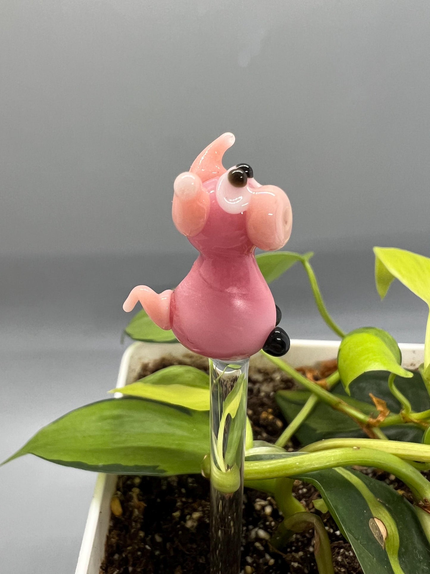 Pink Pig Glass Plant Stake