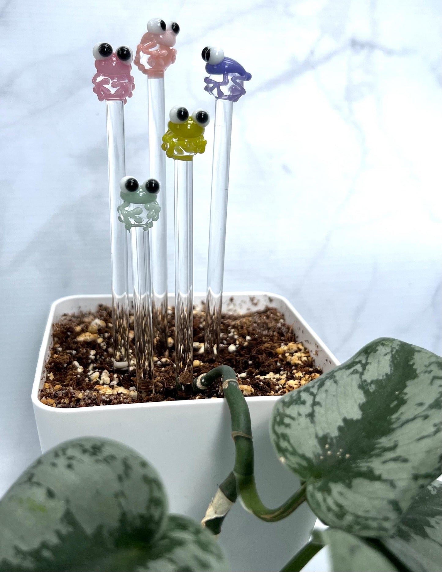Pastel Frog Glass Plant Stake