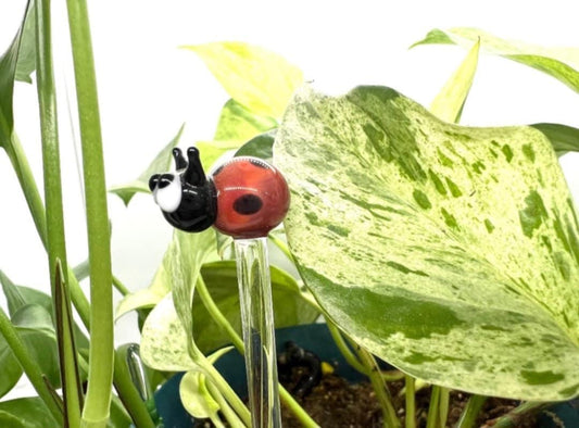 Ladybug Glass Plant Stake