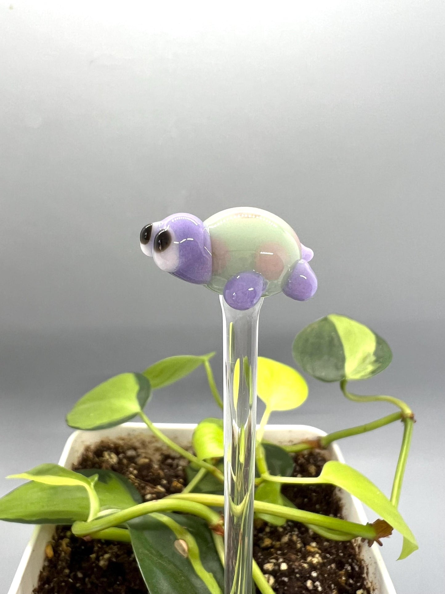 Turtle Glass Plant Stake- Lavender, Mint and Pink Turtle