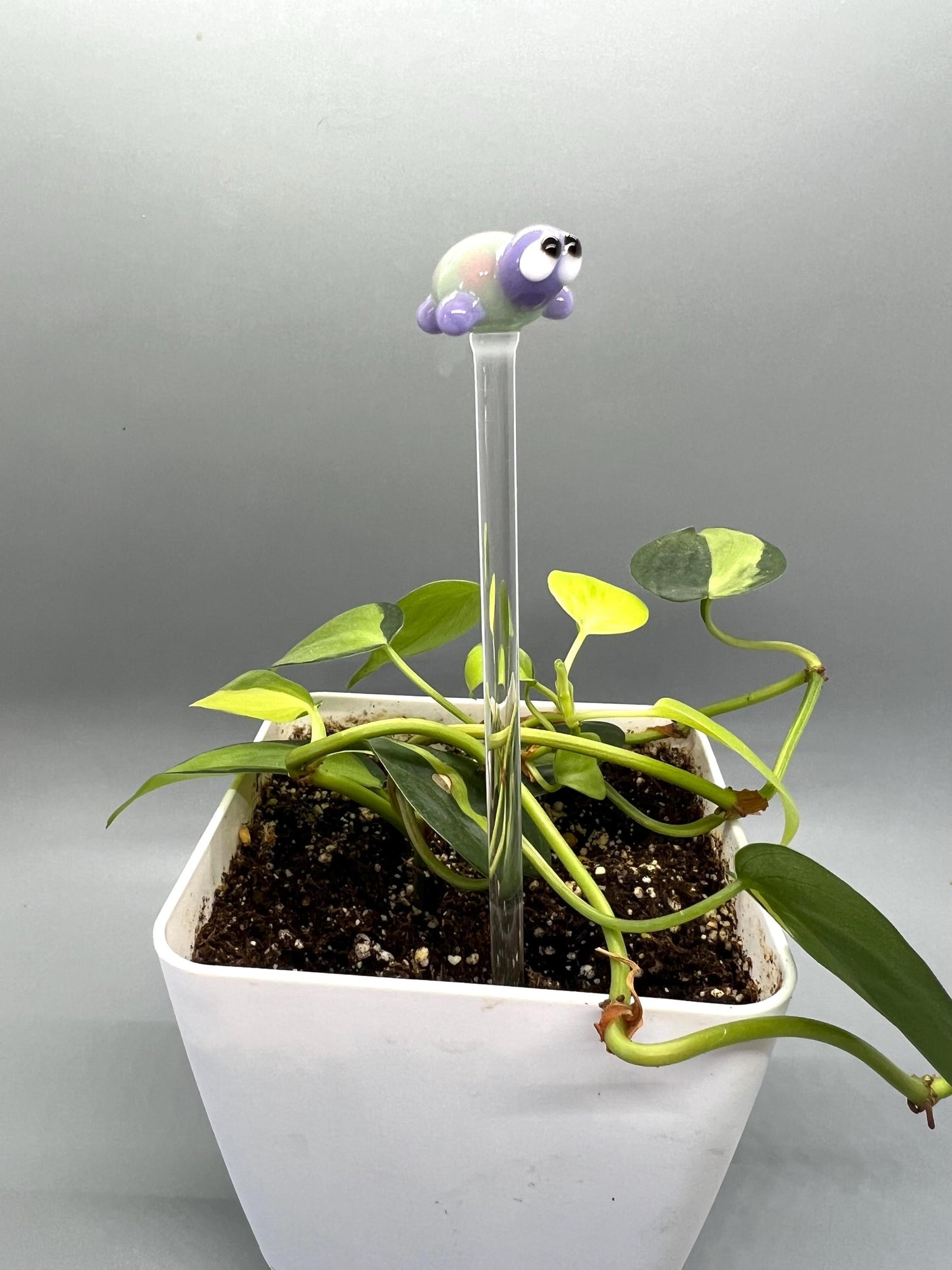 Turtle Glass Plant Stake- Lavender, Mint and Pink Turtle
