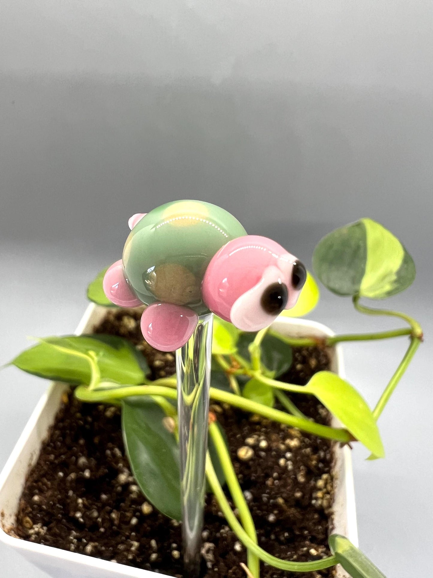 Turtle Glass Plant Stake- Sage and Pink Turtle