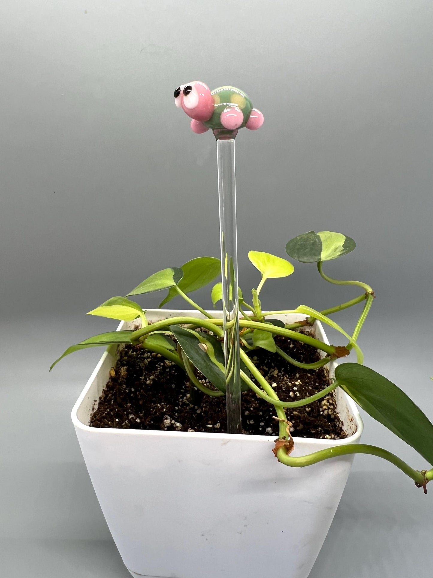 Turtle Glass Plant Stake- Sage and Pink Turtle
