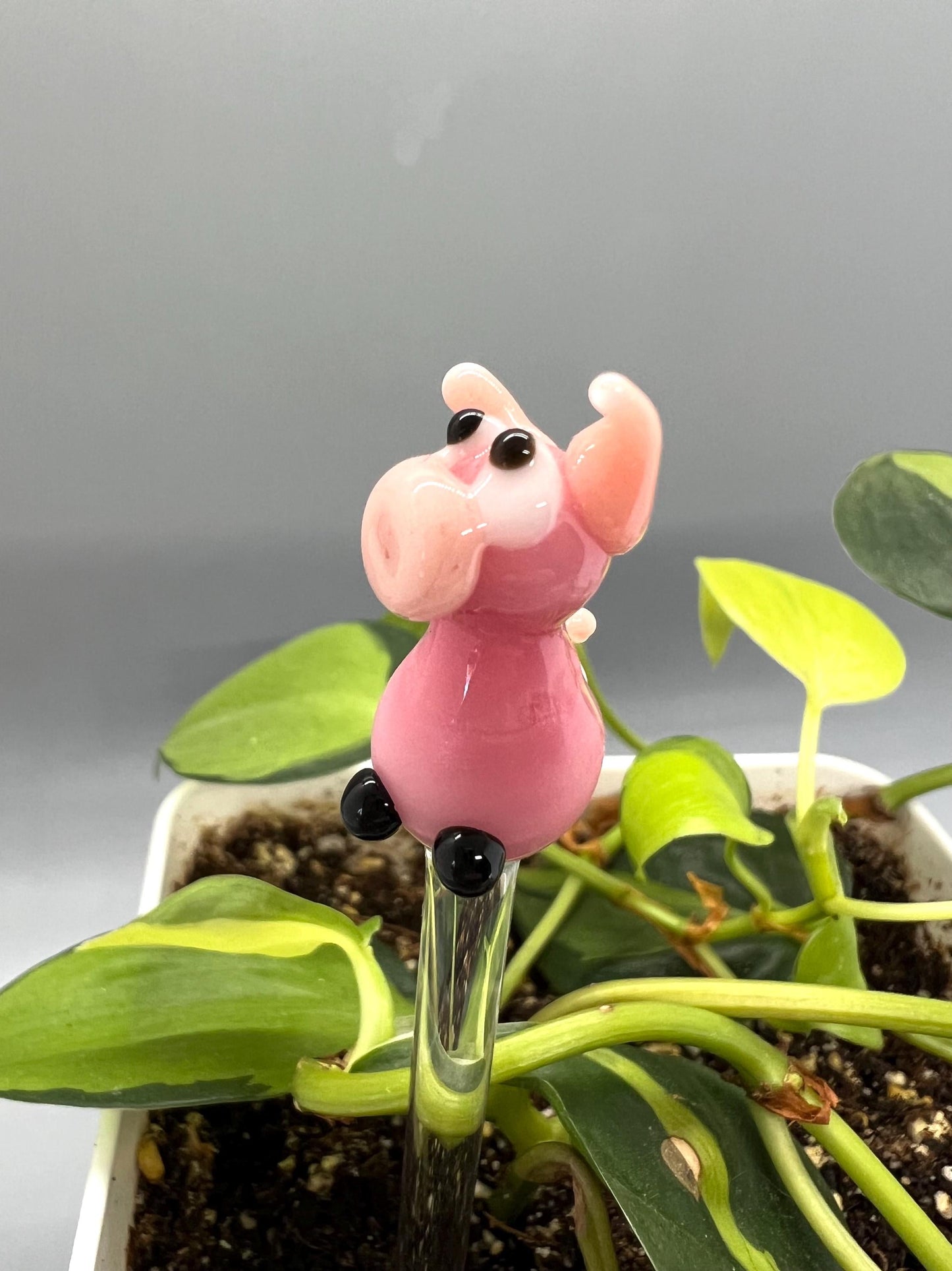 Pink Pig Glass Plant Stake