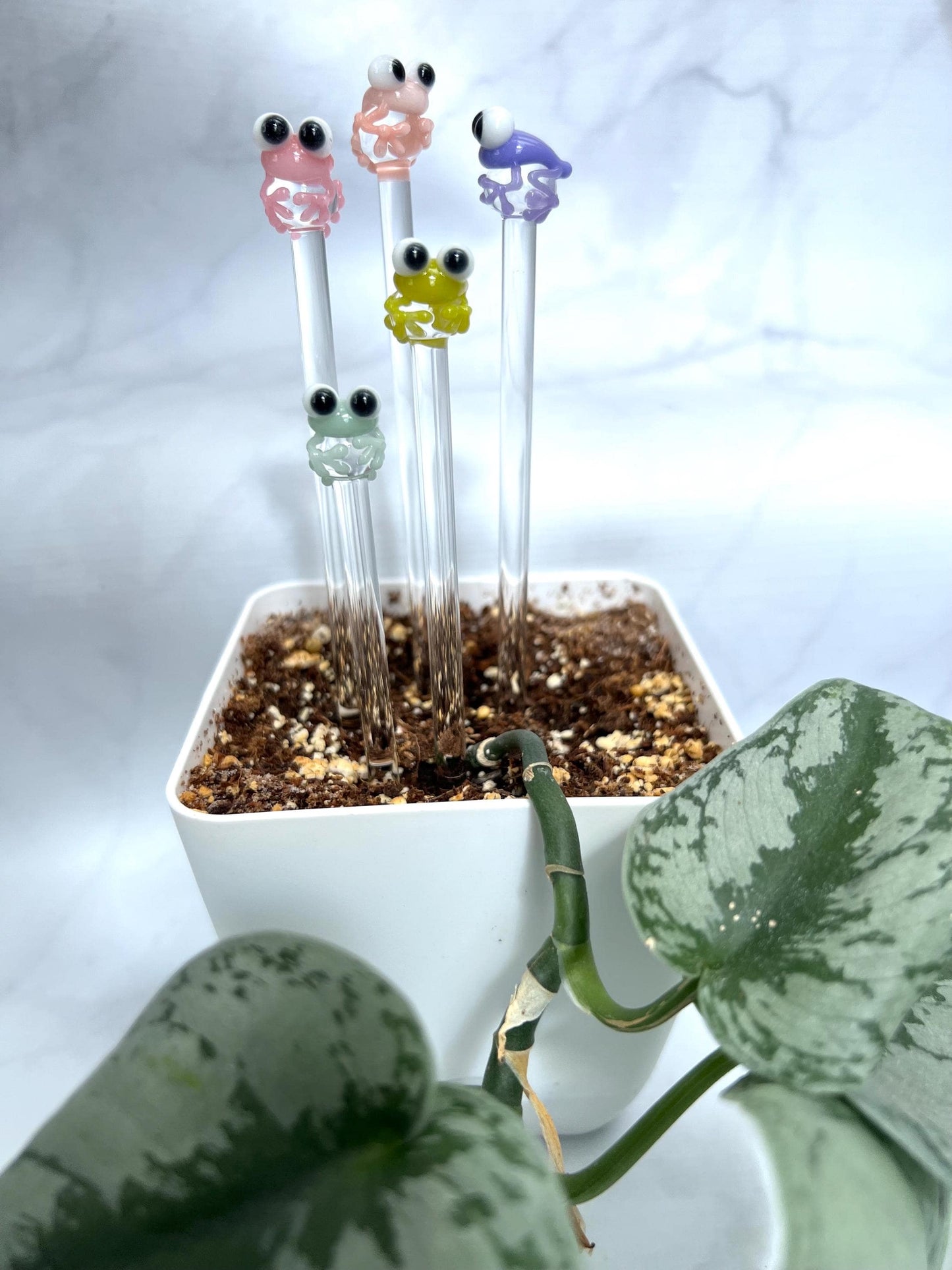 Pastel Frog Glass Plant Stake